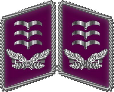 Balkenkreuz (Iron Cross)